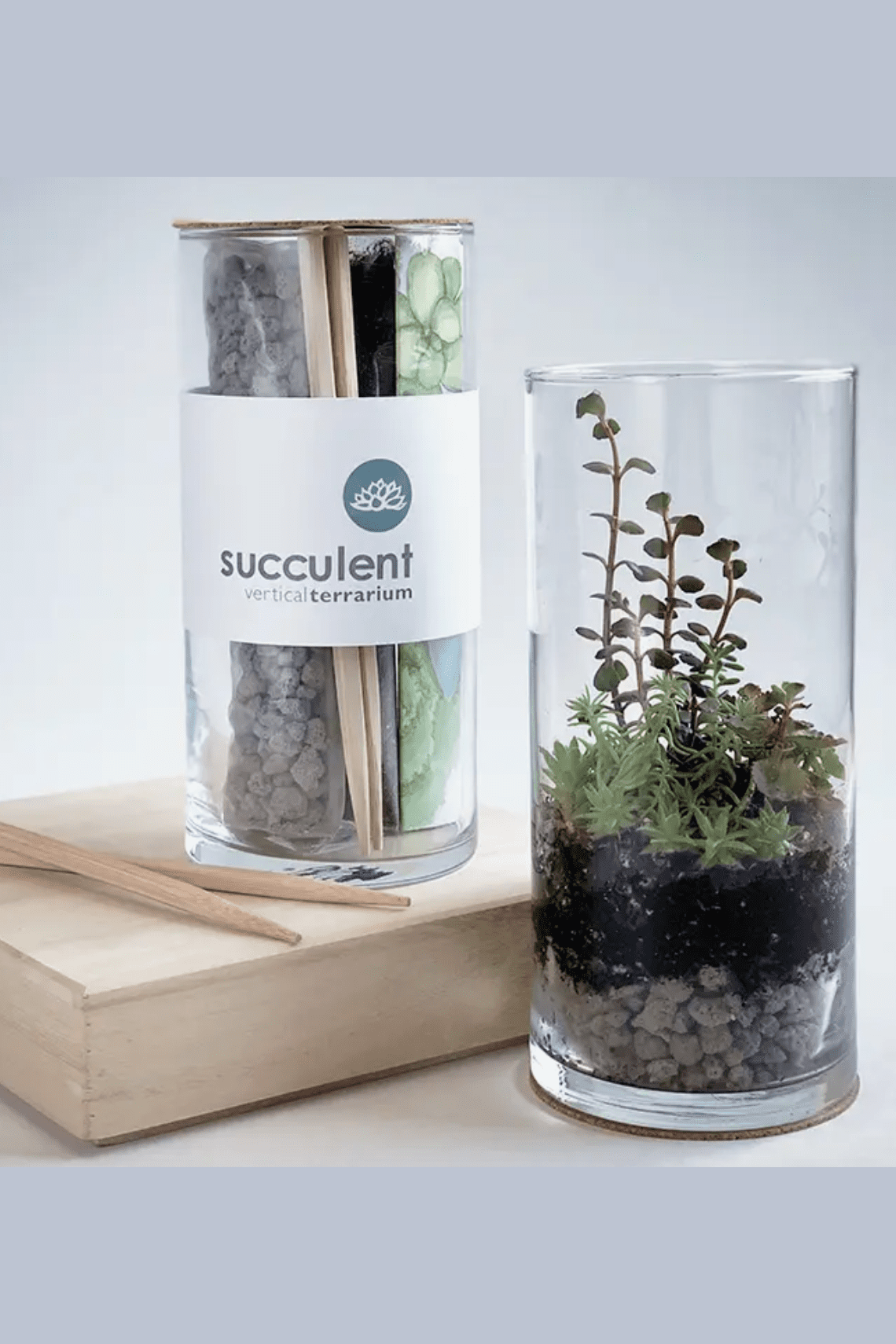 Glass Succulent Terrarium