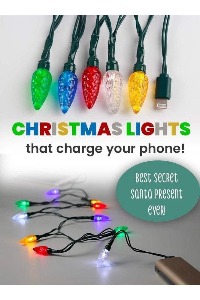 2 in 1 X-Mas Bulb Charger