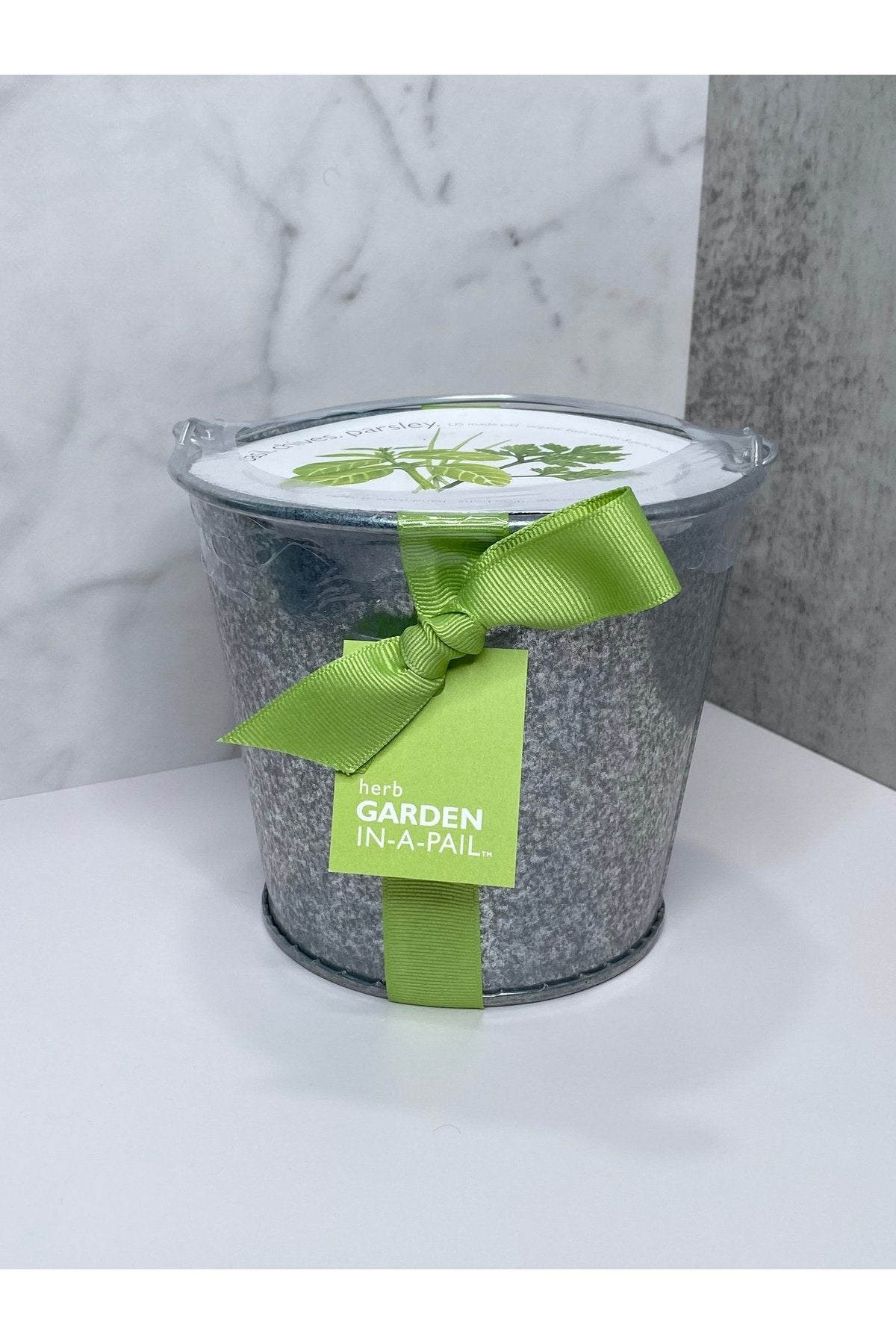 Garden in a Pail - Herb