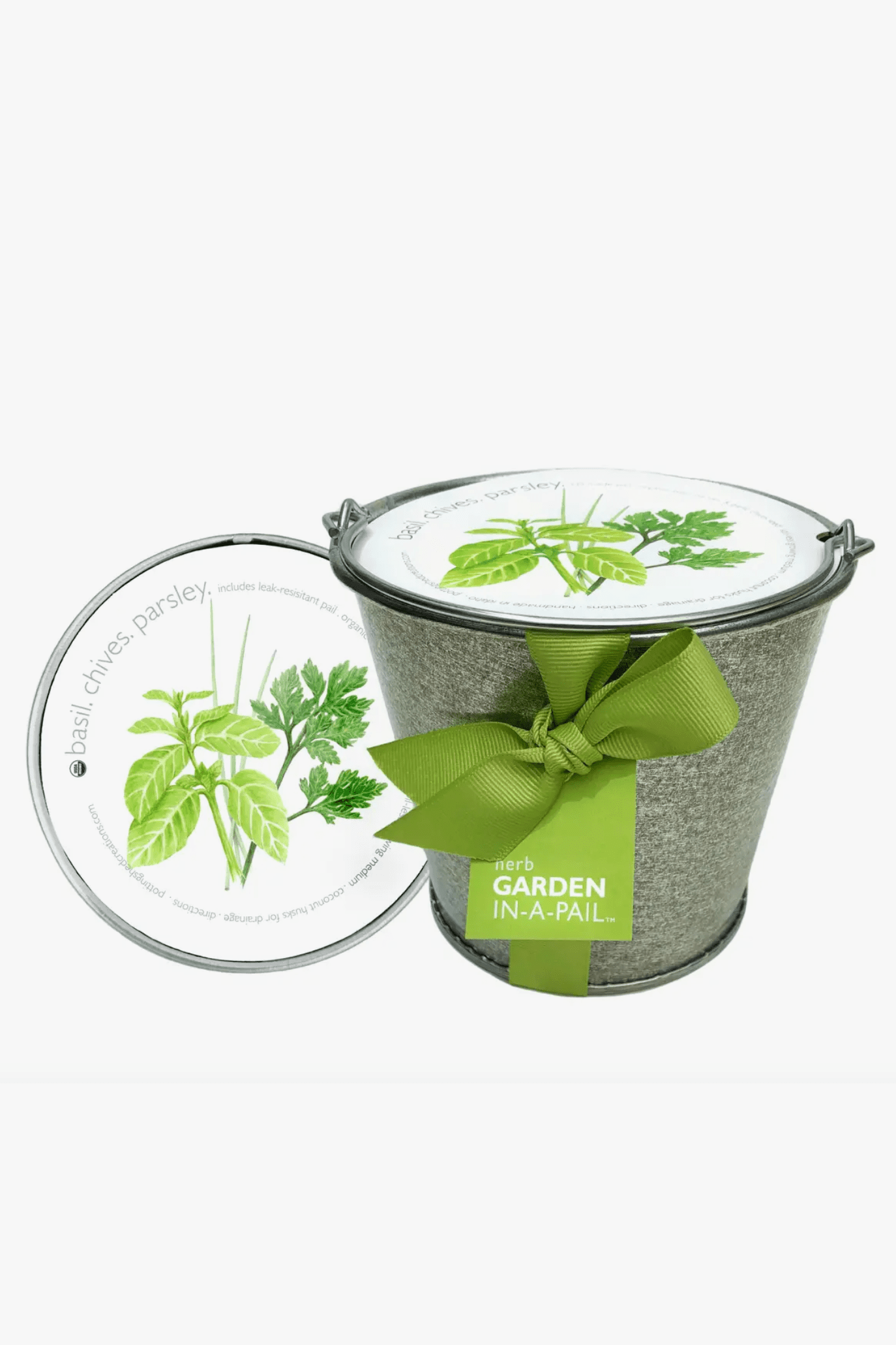 Garden in a Pail - Herb